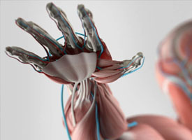 [Medicine Prediction] First patient to regenerate an amputated arm using the Regenerative medicine therapy